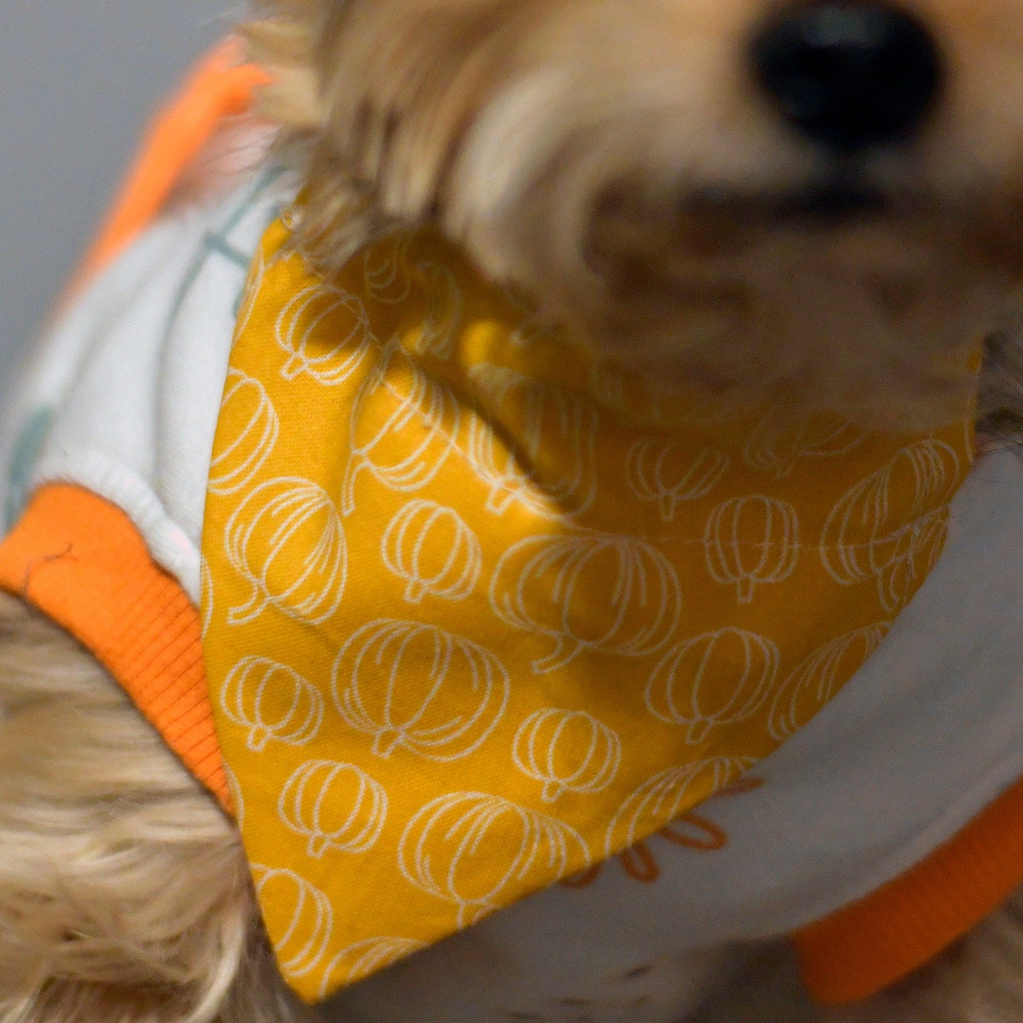 Pumpkin Over The Collar Pet Bandana | Fall Dog Bandana