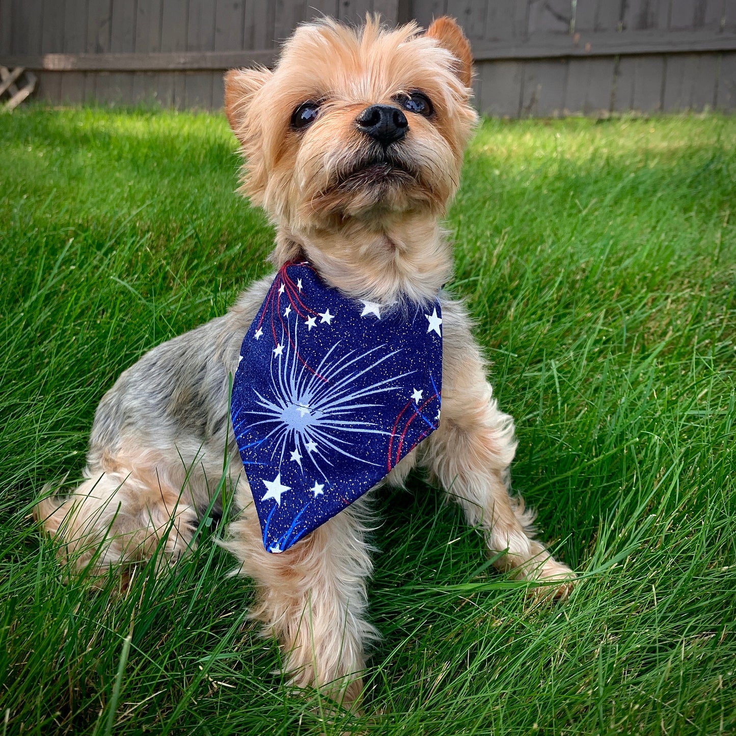 Glitter Fireworks Over The Collar Pet Bandana | Patriotic Dog Scarf