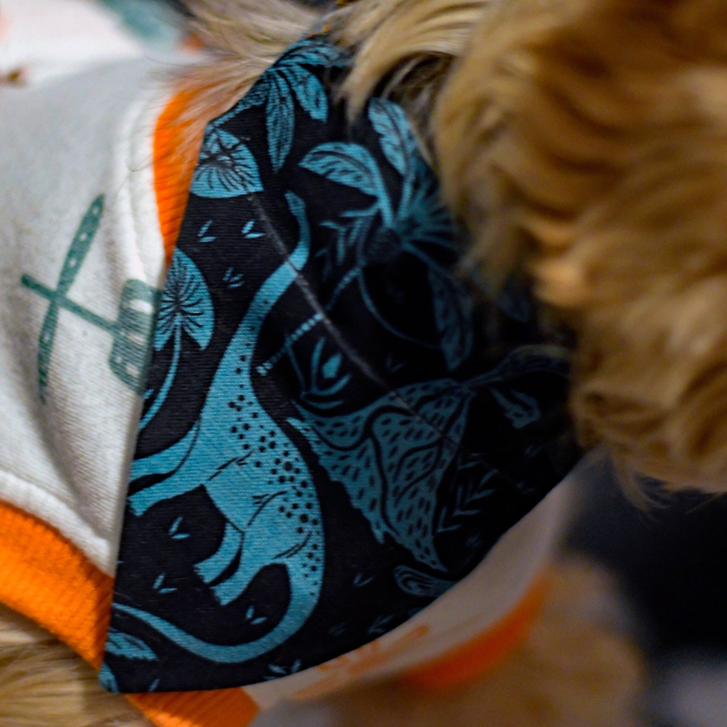 Teal Dinosaurs Over The Collar Pet Bandana | Dinosaur Print