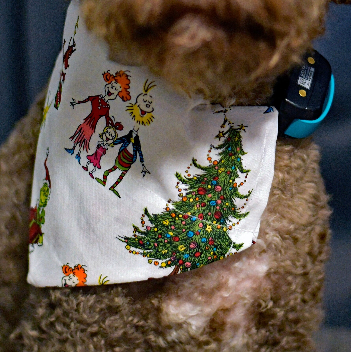 The Grinch Stole Christmas Over The Collar Pet Bandana | The Grinch