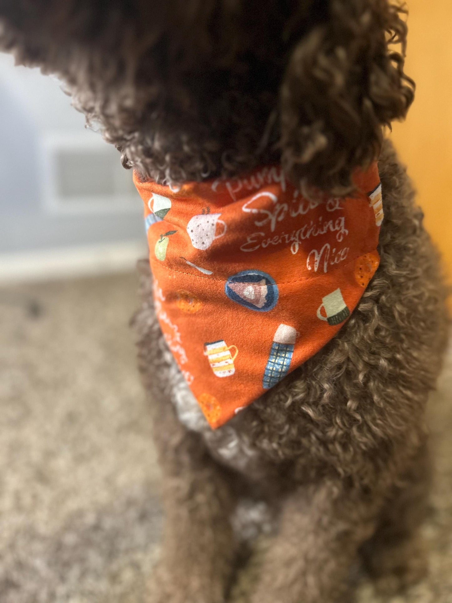 Pumpkin Spice Bandanna | Fall | Dog Merch | Handkerchief