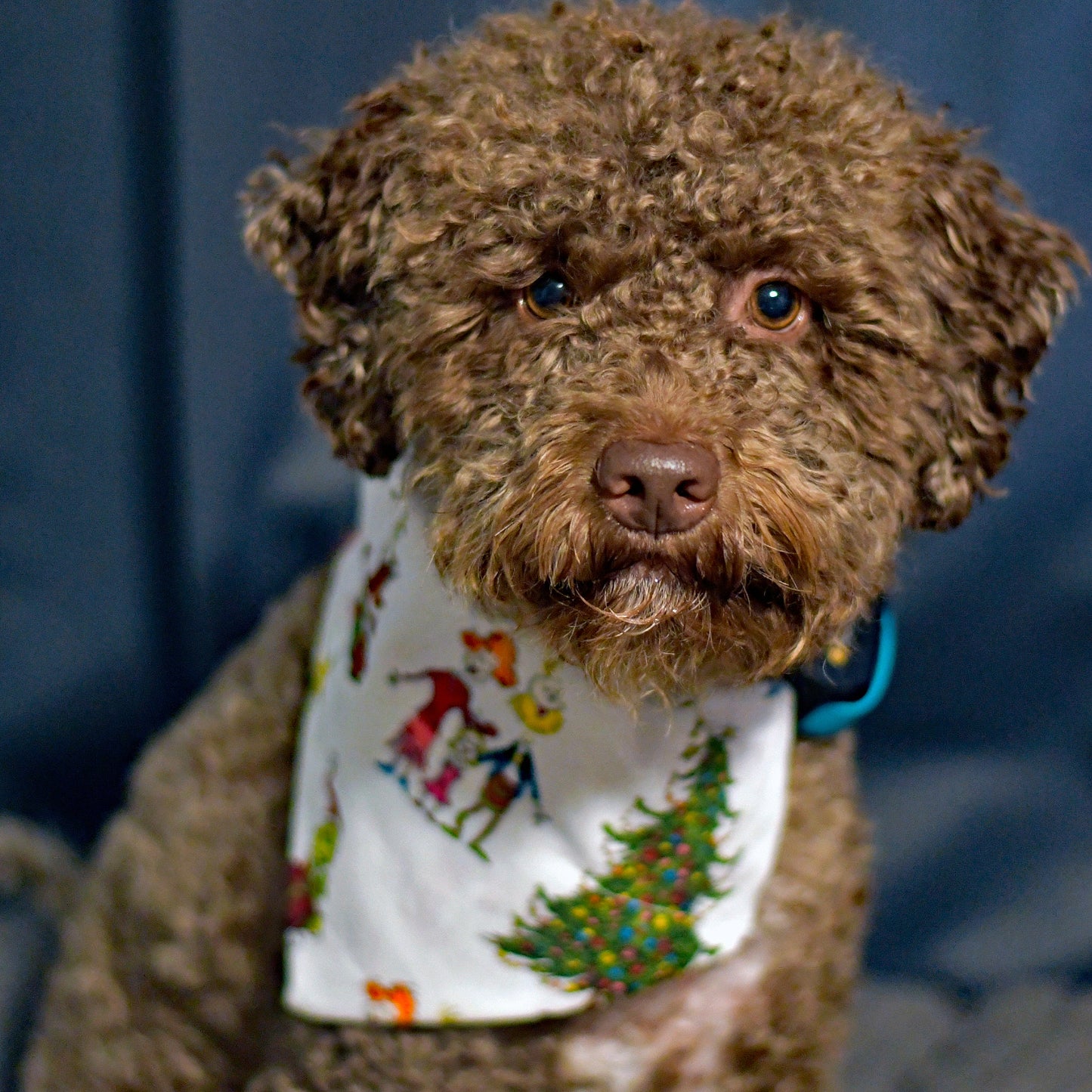 The Grinch Stole Christmas Over The Collar Pet Bandana | The Grinch