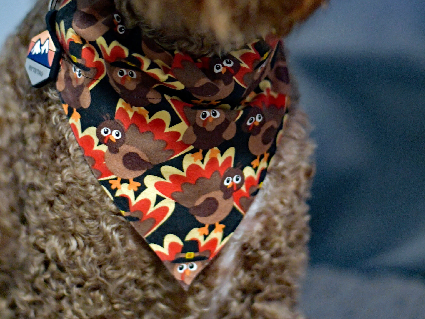 Tossed Turkeys Over The Collar Pet Bandana | Fall Dog Bandana