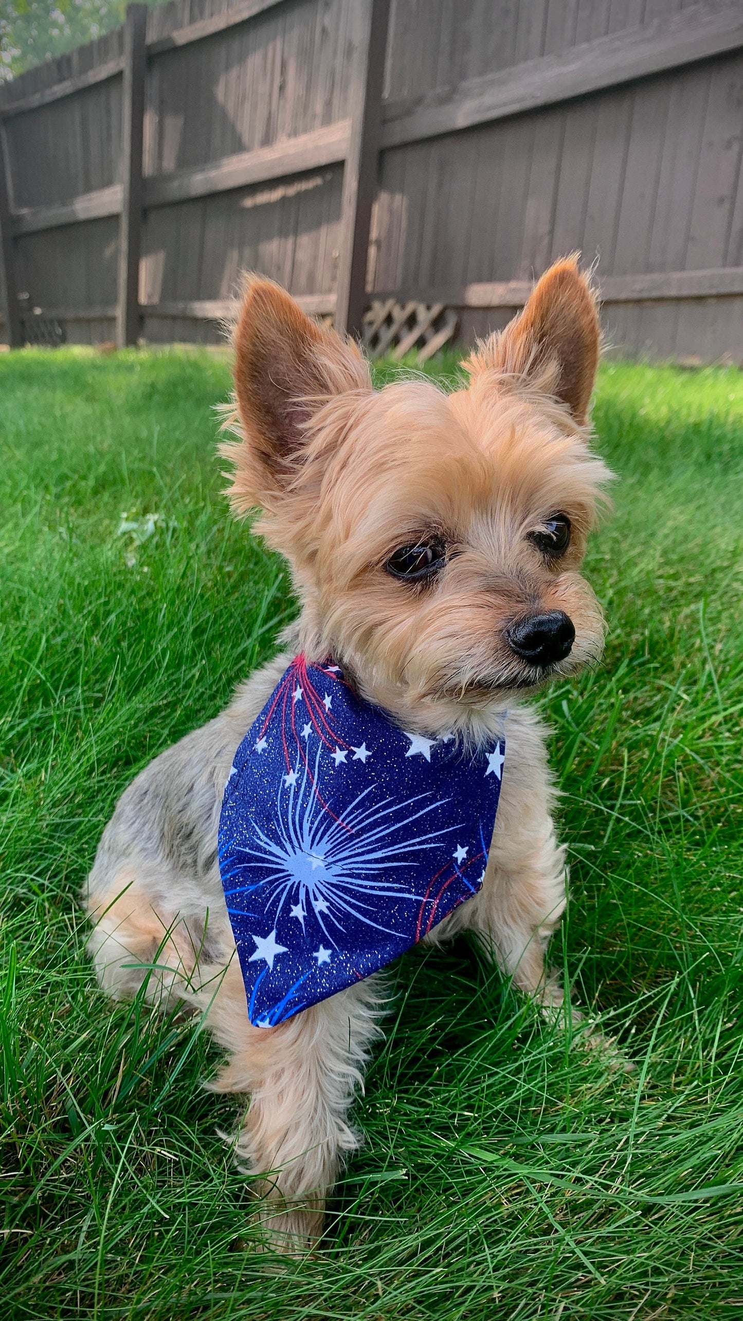 Glitter Fireworks Over The Collar Pet Bandana | Patriotic Dog Scarf