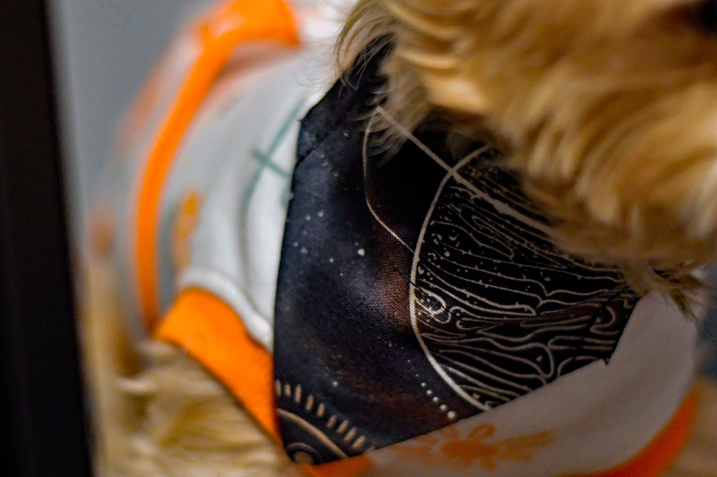 Astrological Over The Collar Pet Bandana | Handmade Dog Bandana