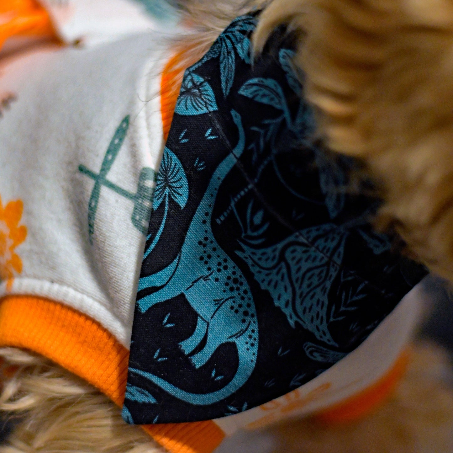 Teal Dinosaurs Over The Collar Pet Bandana | Dinosaur Print