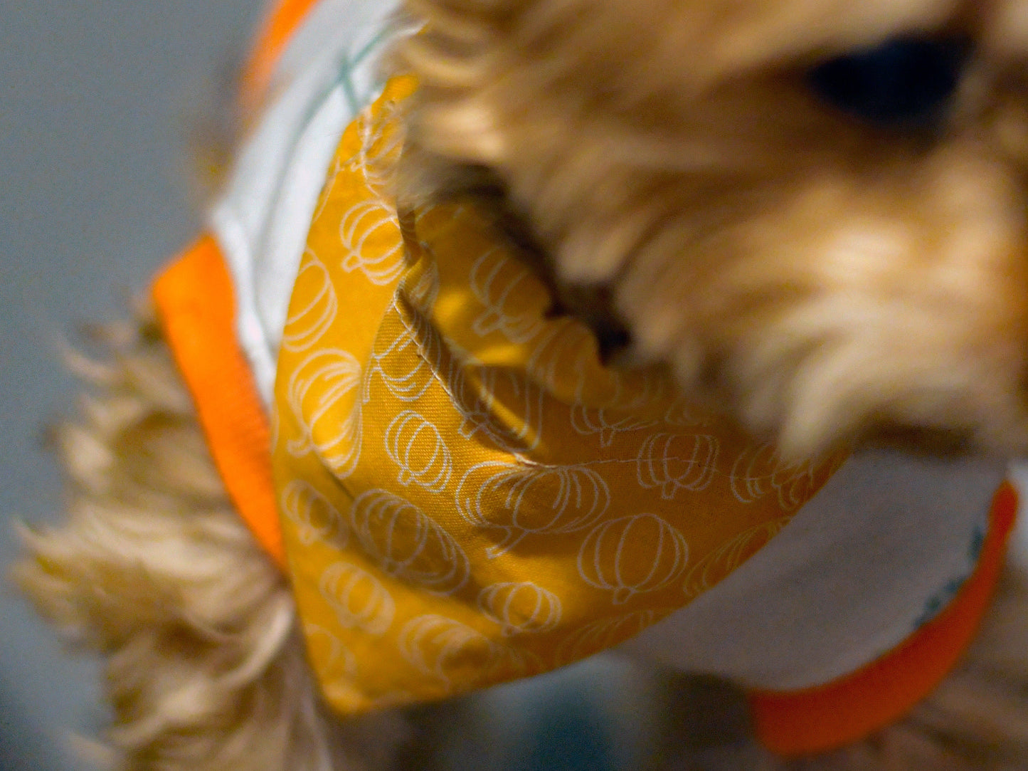 Pumpkin Over The Collar Pet Bandana | Fall Dog Bandana