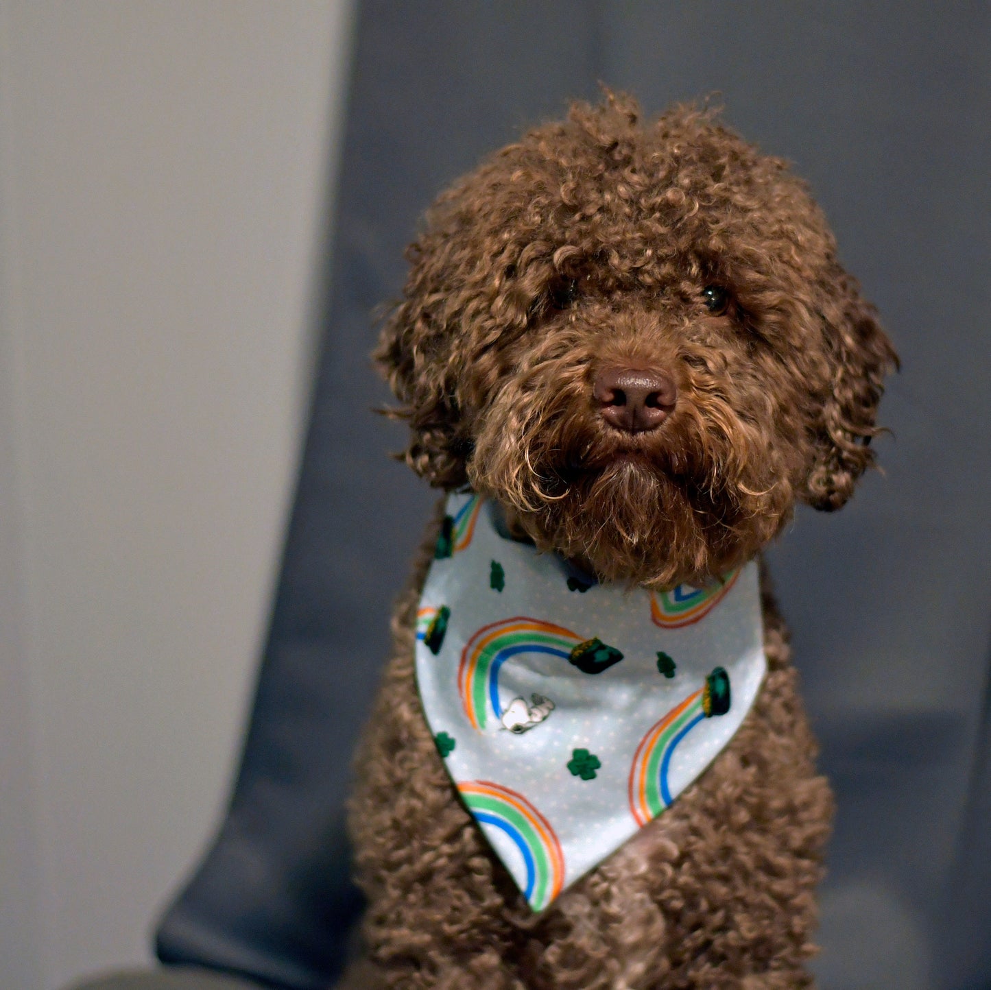 St. Patrick’s Day Snoopy Over The Collar Bandana | Dog | Cat | March | St. Patties Day | Holiday Pet Merch