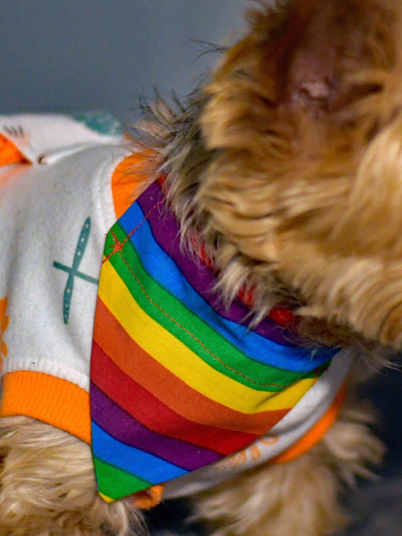 Rainbow Pride Over The Collar Pet Bandana | Rainbow Dog Collar