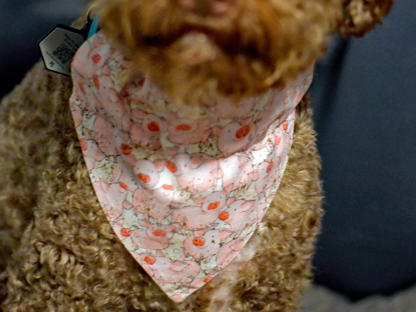 Cute Piggy Over The Collar Pet Bandana | Pink Pig Dog Scarf