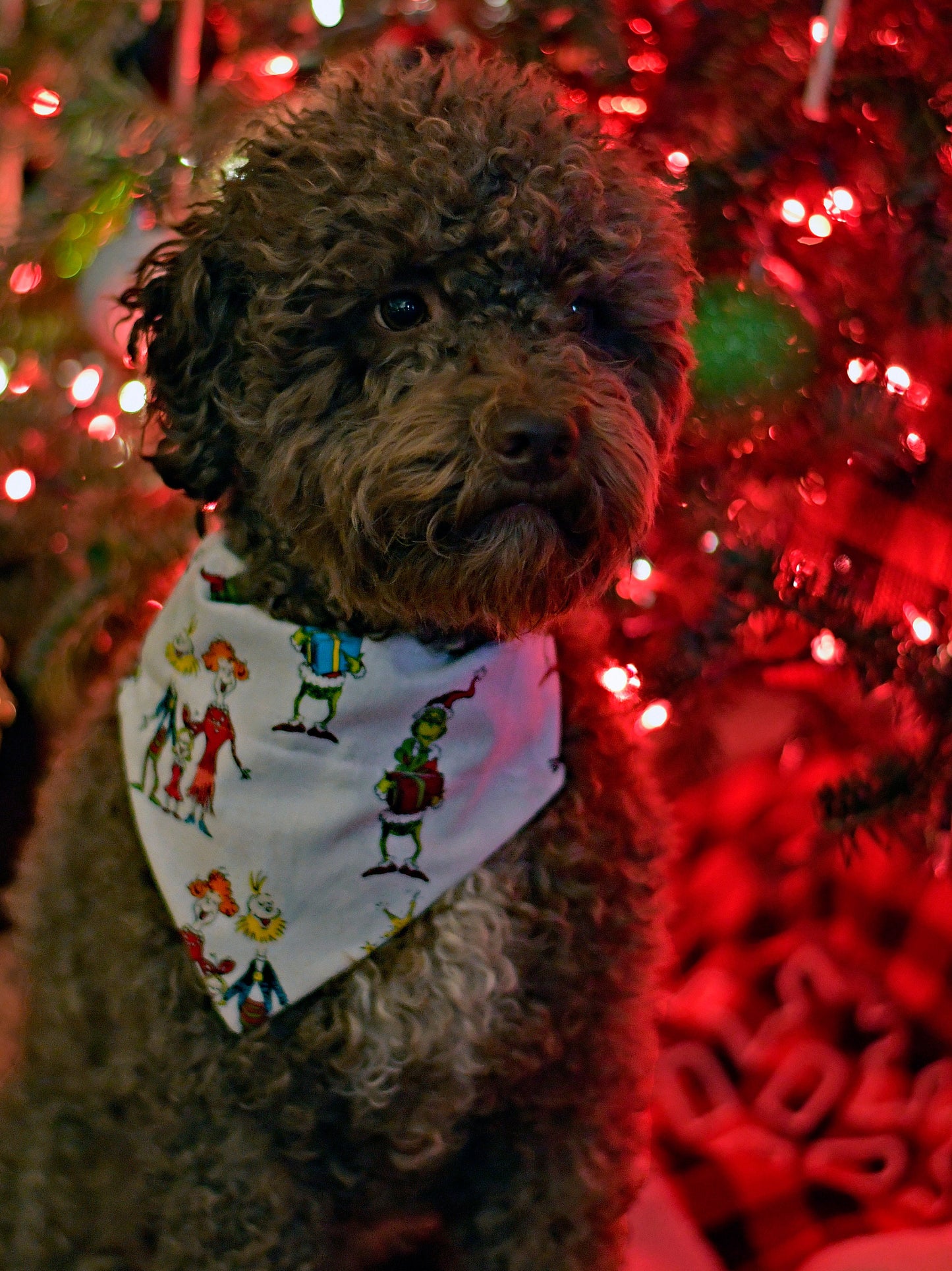 The Grinch Stole Christmas Over The Collar Pet Bandana | The Grinch