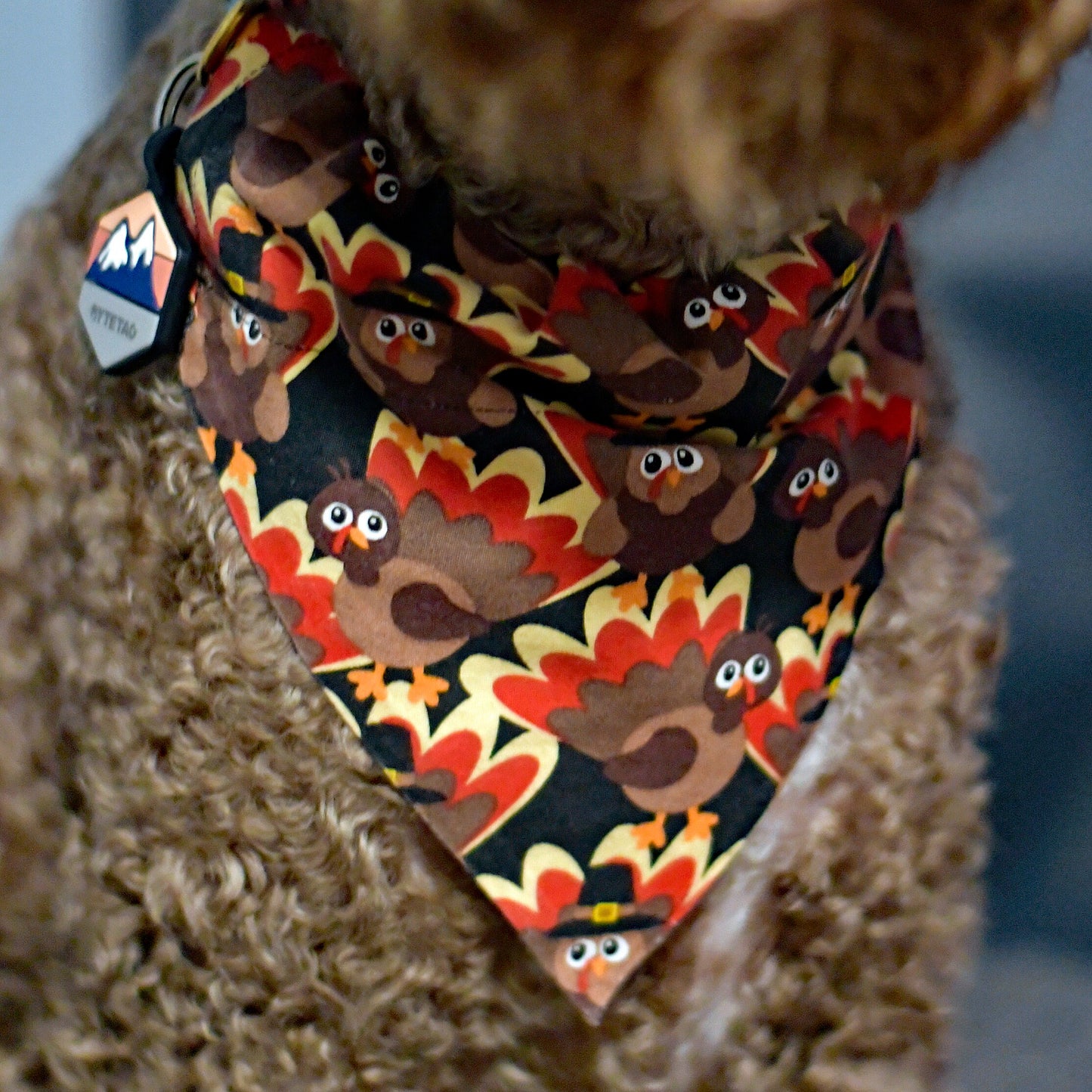Tossed Turkeys Over The Collar Pet Bandana | Fall Dog Bandana