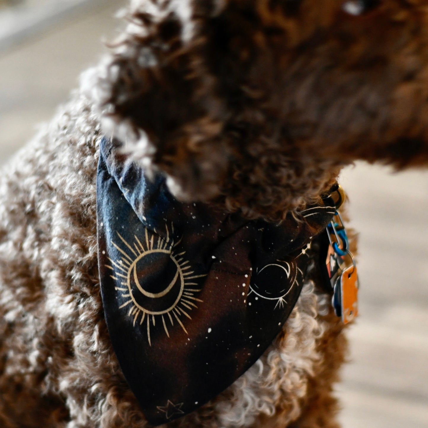 Astrological Over The Collar Pet Bandana | Handmade Dog Bandana
