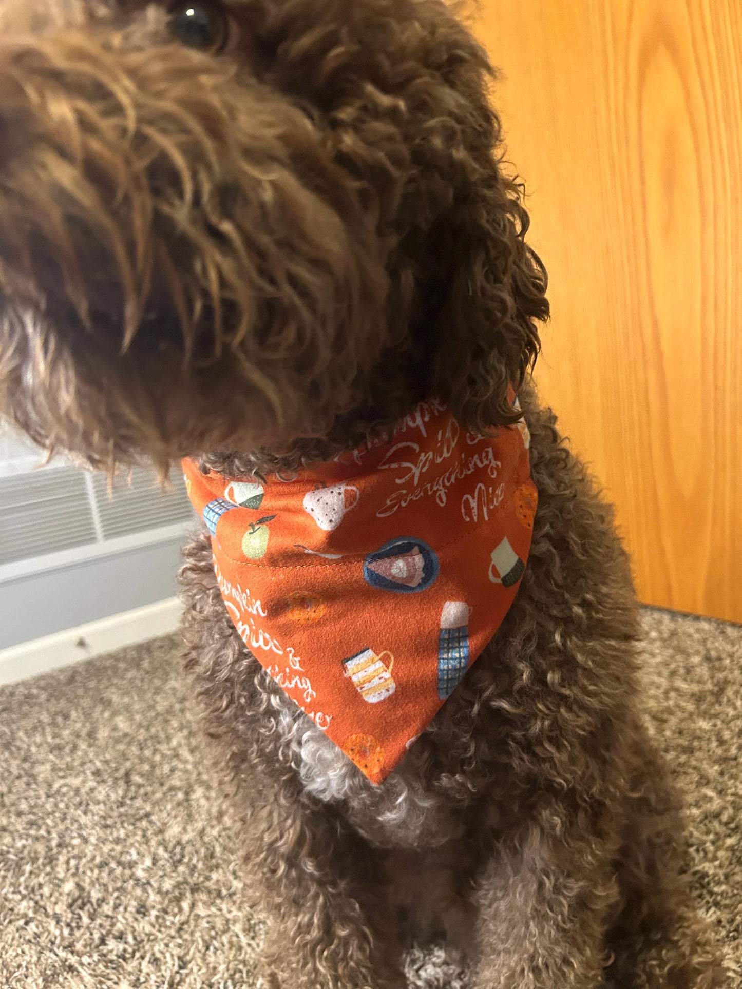 Pumpkin Spice Bandanna | Fall | Dog Merch | Handkerchief
