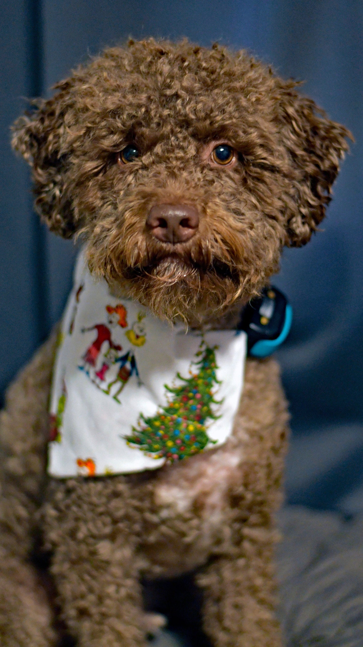 The Grinch Stole Christmas Over The Collar Pet Bandana | The Grinch