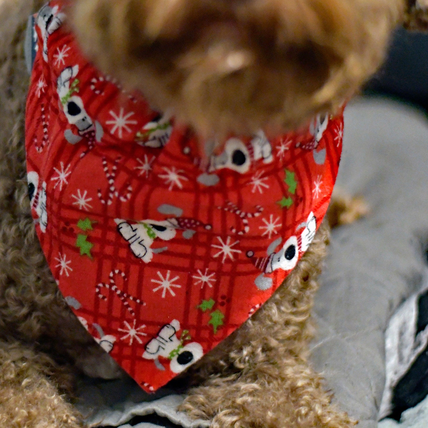 Christmas Over The Collar Pet Bandana | Holiday Dog Bandana