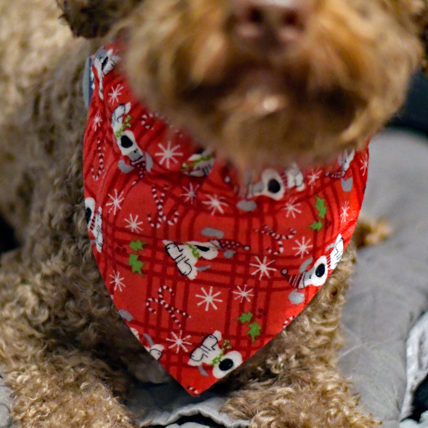 Christmas Over The Collar Pet Bandana | Holiday Dog Bandana