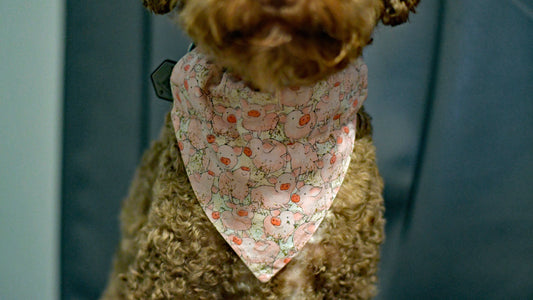 Cute Piggy Over The Collar Pet Bandana | Pink Pig Dog Scarf