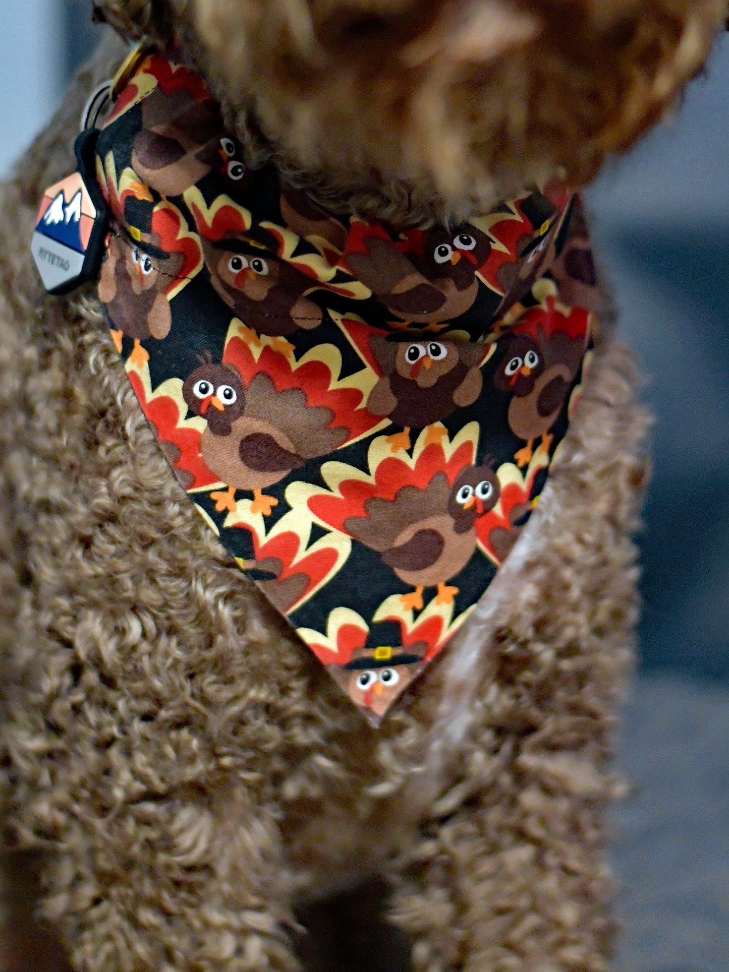 Tossed Turkeys Over The Collar Pet Bandana | Fall Dog Bandana