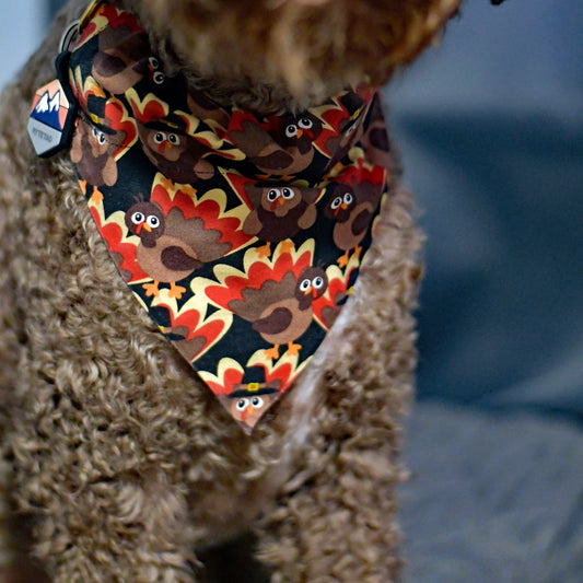 Tossed Turkeys Over The Collar Pet Bandana | Fall Dog Bandana