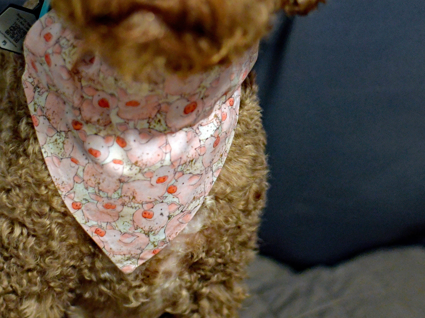 Cute Piggy Over The Collar Pet Bandana | Pink Pig Dog Scarf