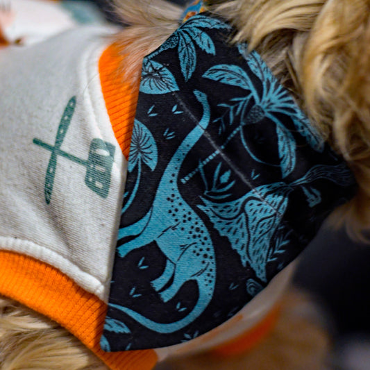 Teal Dinosaurs Over The Collar Pet Bandana | Dinosaur Print