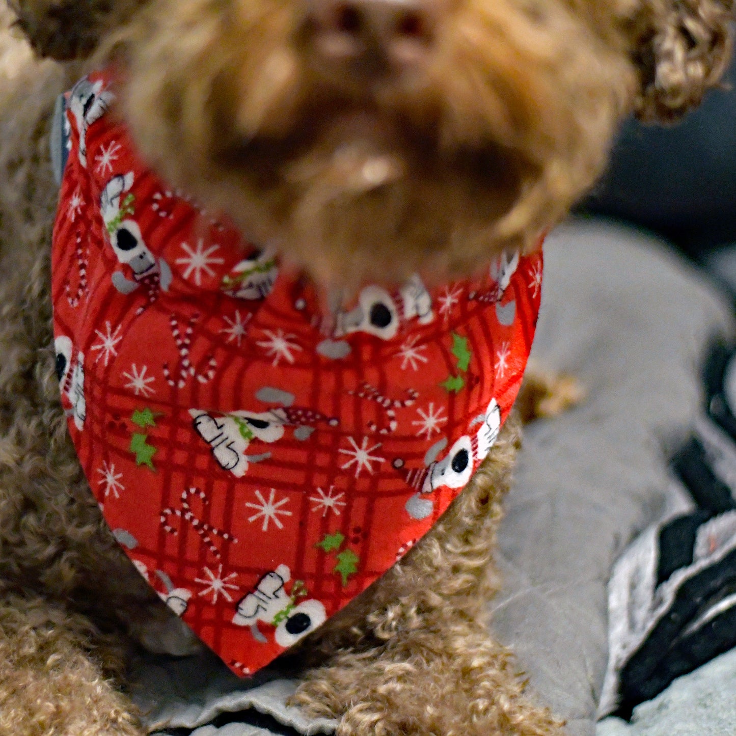 Christmas Over The Collar Pet Bandana | Holiday Dog Bandana
